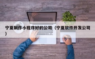 龙海宁夏制作小程序好的公司（宁夏软件开发公司）