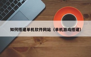 龙海如何搭建单机软件网站（单机游戏搭建）